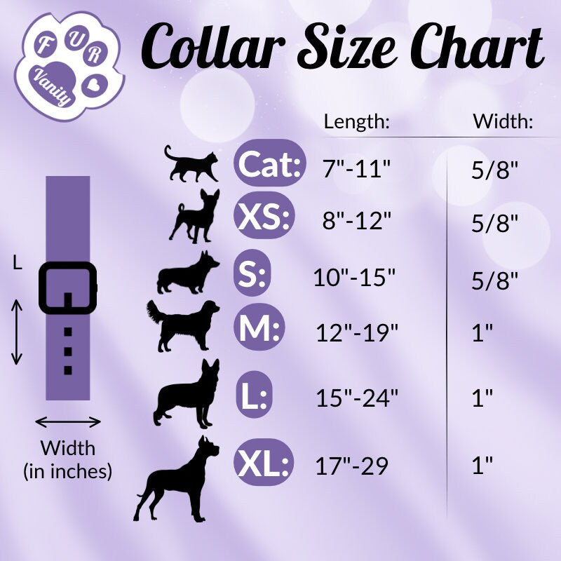 Spirited Dragon - Dog and cat collar
