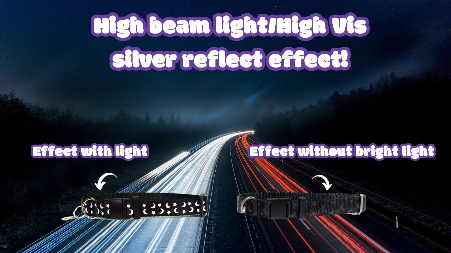 Reflective Galaxy - Leash (High vis)