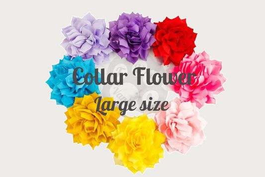 Dog Collar Flowers Multiple colors - Large size