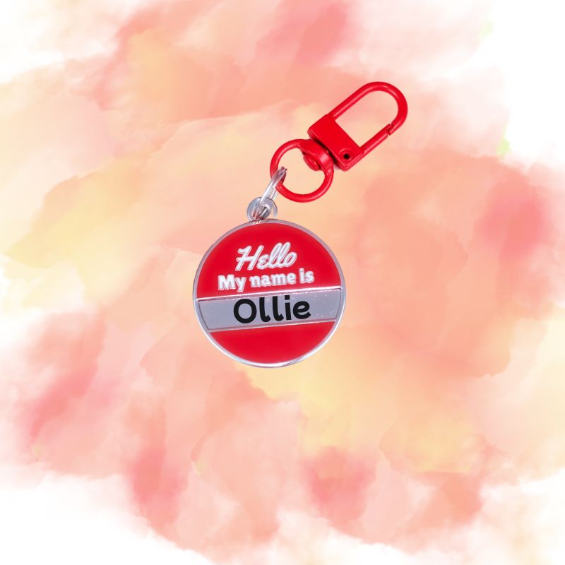 Red Pet Tag - Hello! My name is _