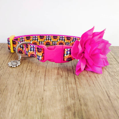 Dog Collar flower, Collar flower, Flower for dog collar, Large collar flower , Pet accessories, BIG, Full and FLUFFY !