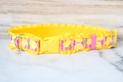 Ruffle Add-On, Ruffle dog collar, Custom Dog collar, Girly, Dog collar, Cat collar