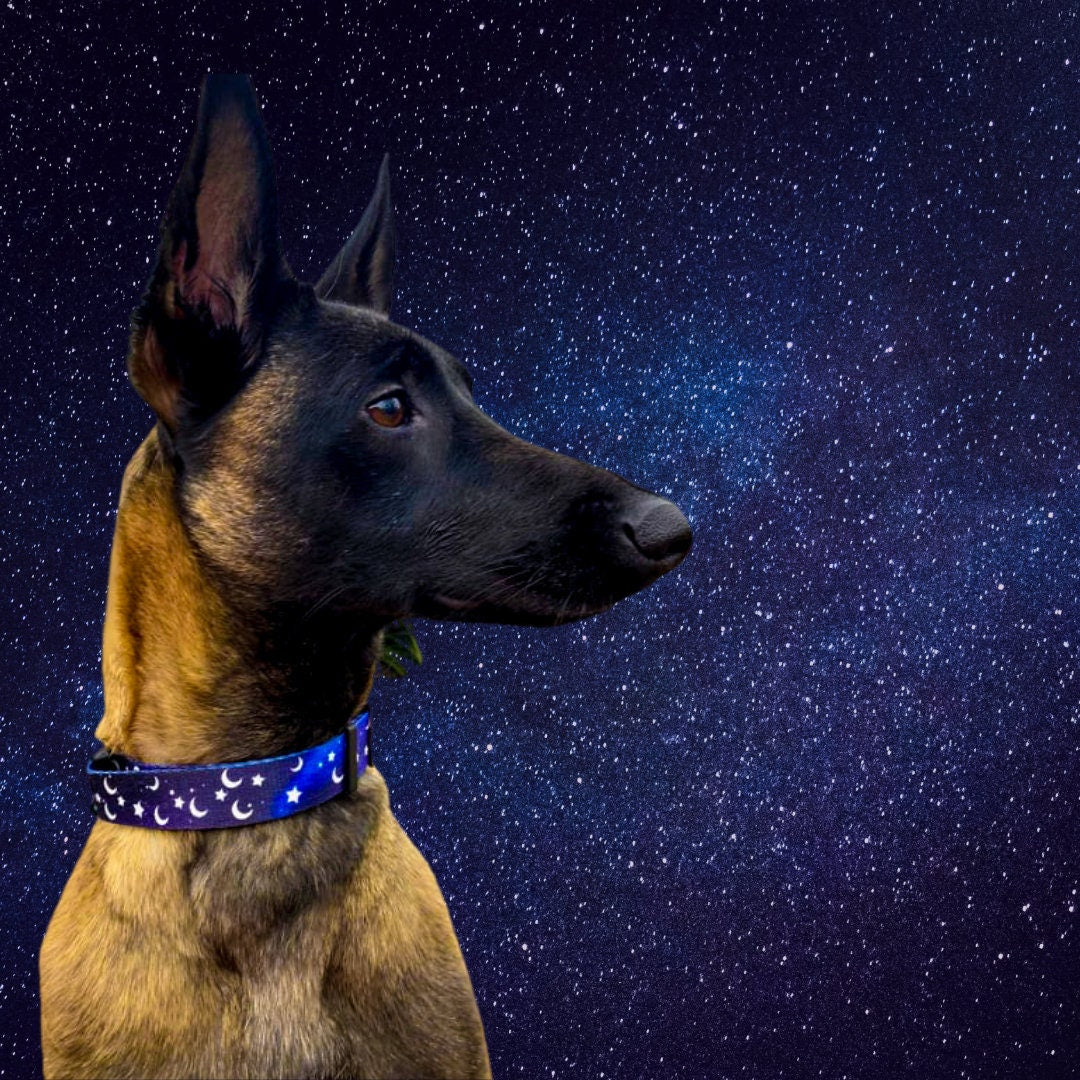 Midnight moon collar,Moon dog collar,Star dog collar,Space Collar,Moon and star Dog Collar,Galaxy dog collar, Witchy collar, cat collar