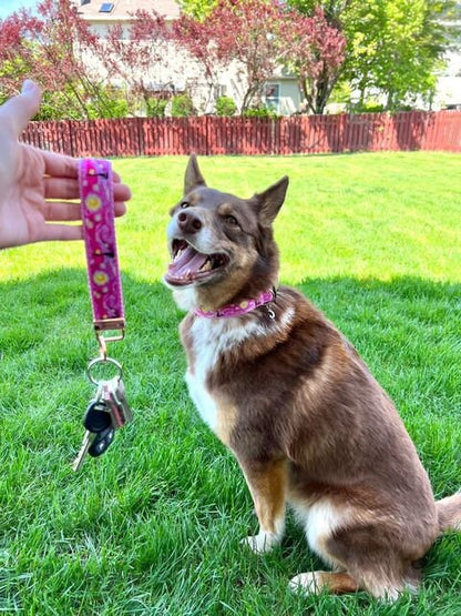 Pink Starry Night Dog Collar,Pink Dog Collar, Cat collar, Starry Night,Starry night cat collar,Girly dog collar