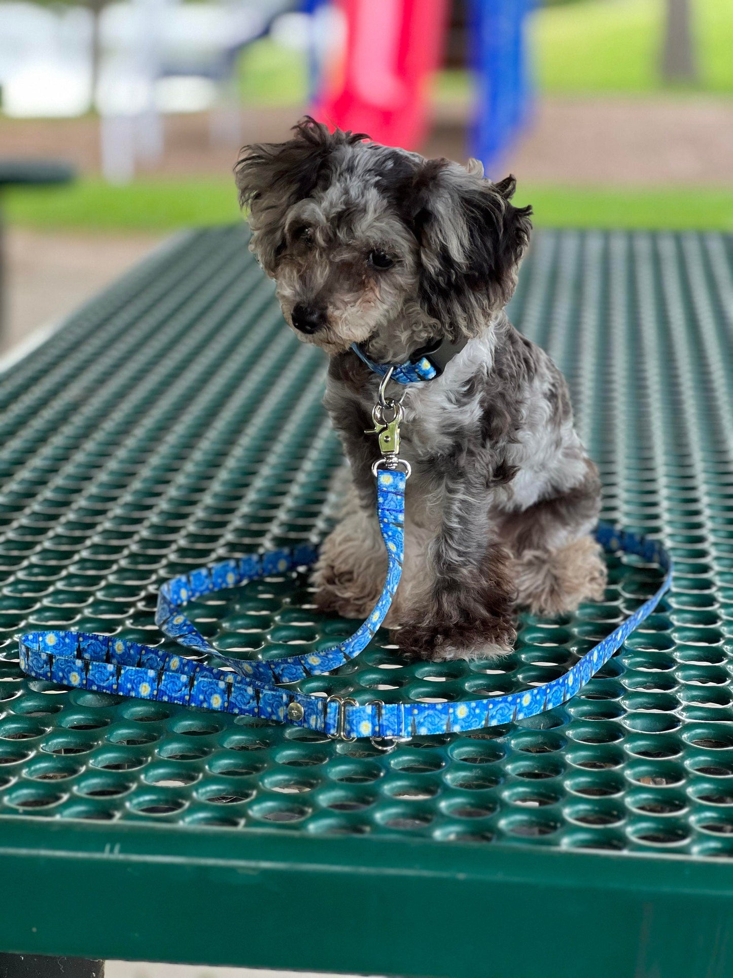 Starry Night Leash, Dog Leash, Van Gogh art leash, Short leash,Multiple lengths