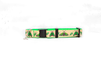 Lunar moth , Green dog collar, Moth and moon collar, Breakaway cat collar, Lime green cat collar, Lunar moth dog collar