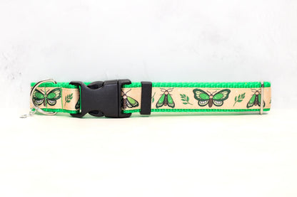 Lunar moth , Green dog collar, Moth and moon collar, Breakaway cat collar, Lime green cat collar, Lunar moth dog collar