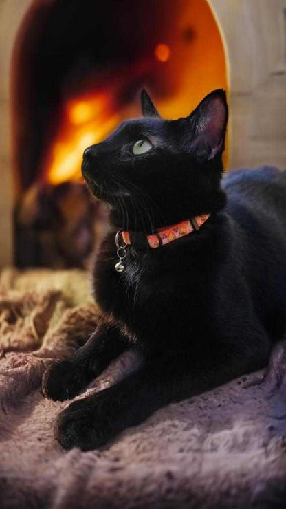 Fire Demon , Calcifer collar, Cat collar,Anime dog collar, Flame collar, Cat breakaway collar