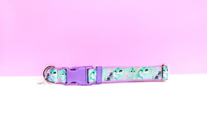 Raya the last dragon, Raya Sisu , Dragon dog collar, Sisu dragon, Adjustable Collar, Lavender dog collar, Pretty dragon