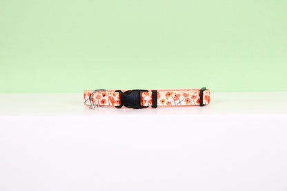 Poppy flower collar,Flower,Orange California poppy ,Orange dog collar,Orange cat collar,Poppy flower,Wide Cat collar,Flower Dog collar