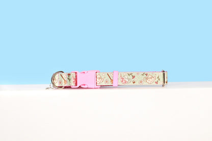 Tea party dog collar, Bee's and tea, Girly dog collar, Cute dog collar, Cat breakaway tea collar, Girly cat collar