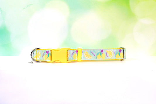 Lavender Lemon Dog collar, Lemons dog collar,Dog collar and leash, Cat collar lemon,