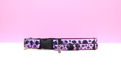 Purple poppy, Poppies dog collar, Poppy cat collar, Flower collar, Floral dog and cat collar, Purple collar, Girly dog collar, Pretty collar