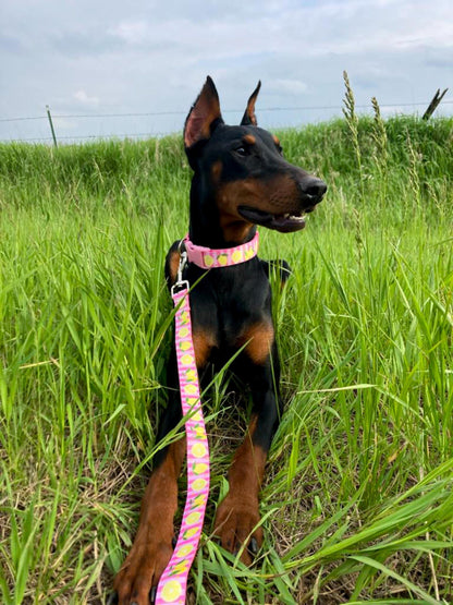 Pink Lemon dog collar, Fruit dog collar, Lemonade, Summer dog collar, Spring dog collar, Cat collar, Lemon cat collar, Pink stripe collar