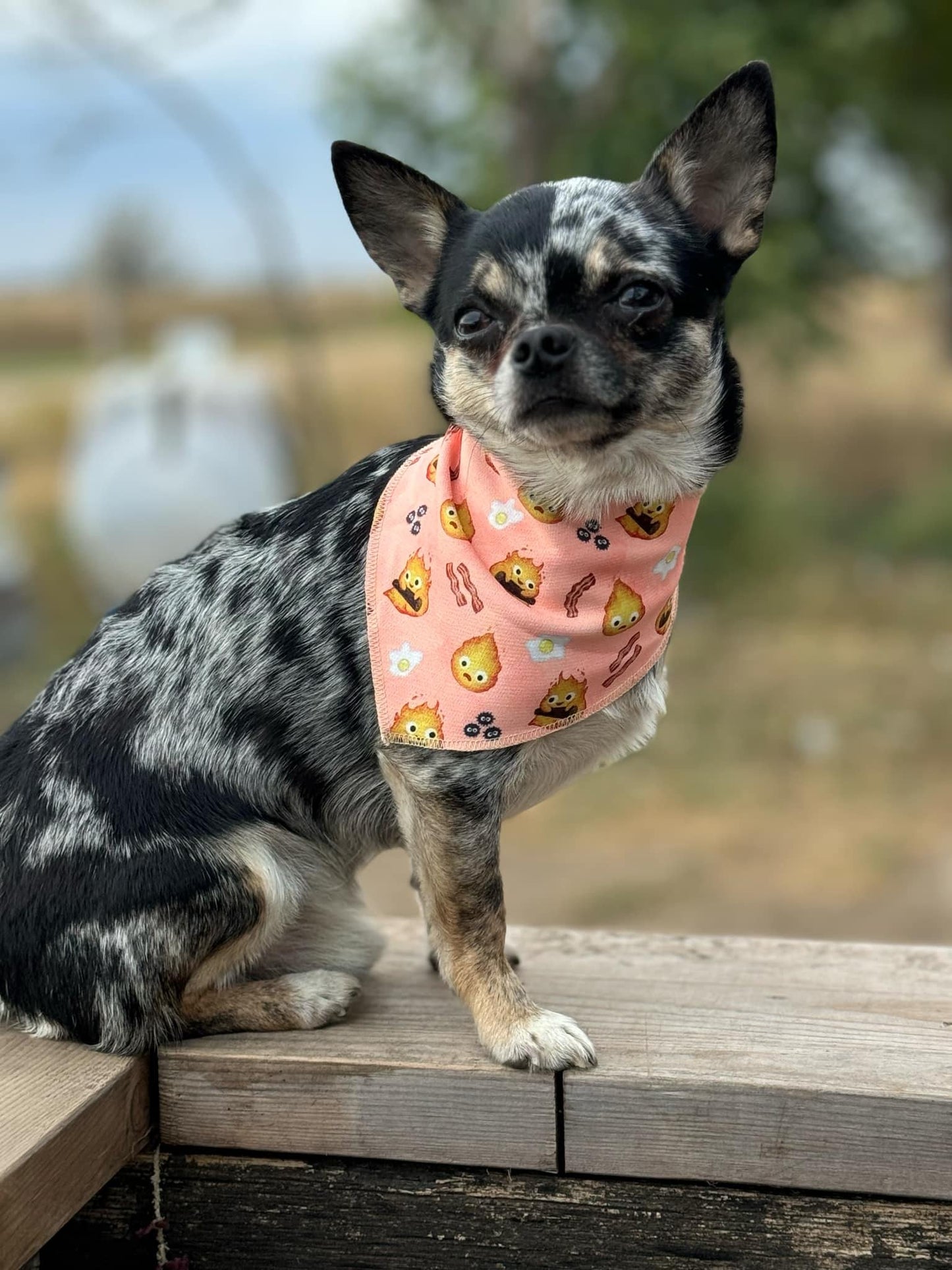 Fire demon bandana, Calcifer bandana, Dog and cat bandana, Tie and snap bandana,Anime bandana, Cute orange flame