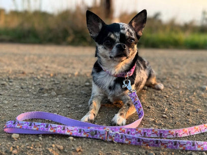 Eevee cherry blossom collar, Sakura Eevee dog collar, Anime collar, Cute Eevee Cat collar