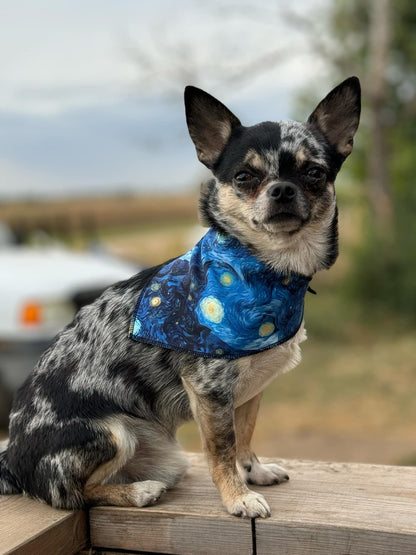 Starry Night Bandana,Blue dog bandana, Tie and Snap bandana, Blue Starry night,Cat bandana, Vibrant bandana with snaps