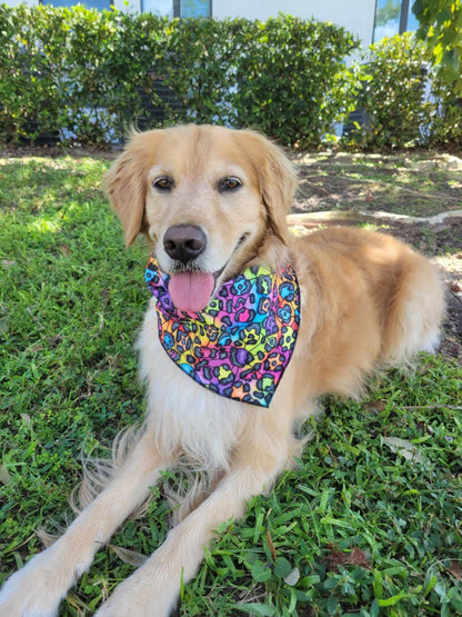 Reversible bandana, Rainbow tiger stripe, Rainbow Leopard, Tie and snap bandana, Dog bandana,